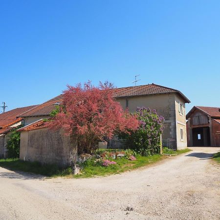 Le Gite Du Haut Chatillon-la-Palud Ngoại thất bức ảnh