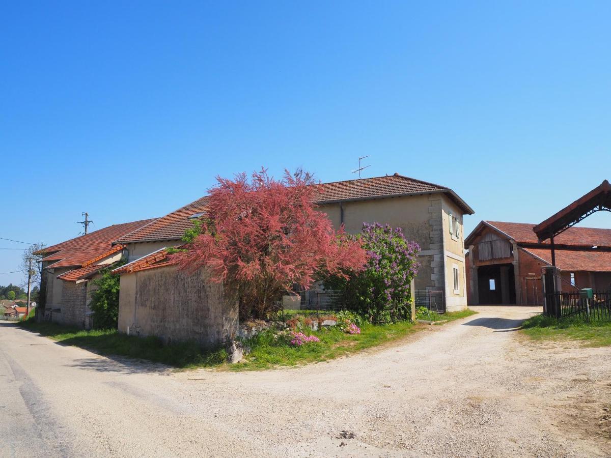 Le Gite Du Haut Chatillon-la-Palud Ngoại thất bức ảnh